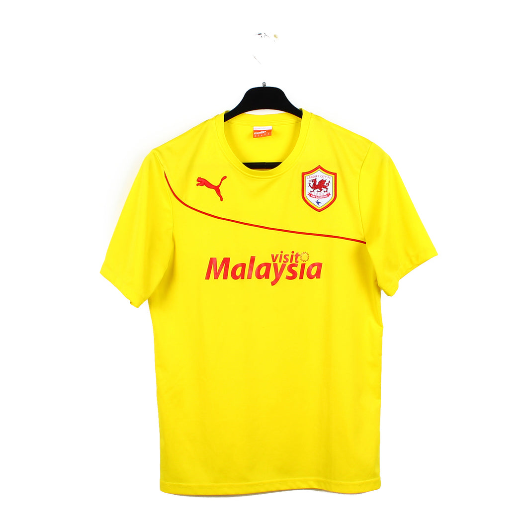 2013/14 - Cardiff City FC (L)